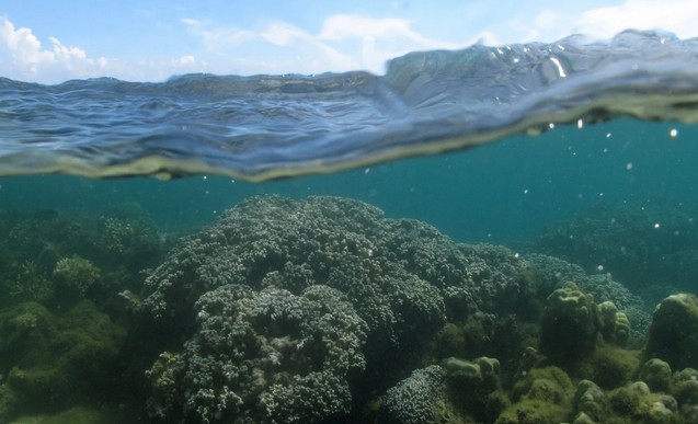 SOS Océans